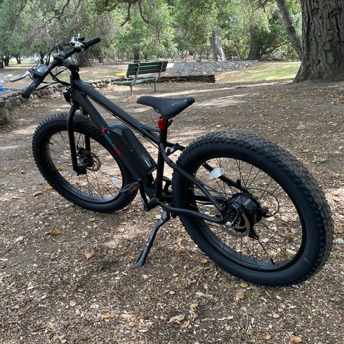 Burch Electric Mountain Bike Eagle